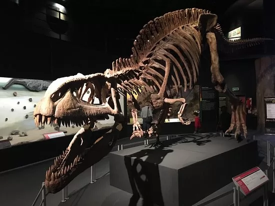 Los Dinosaurios  -  Museo Palenteologico Egidio Feruglio de Trelew